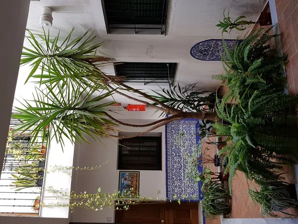 Piso en calle Pureza, 92 - Foto 3