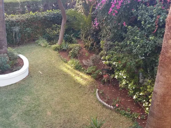 Piso en calle República Argentina, 29 - Foto 27