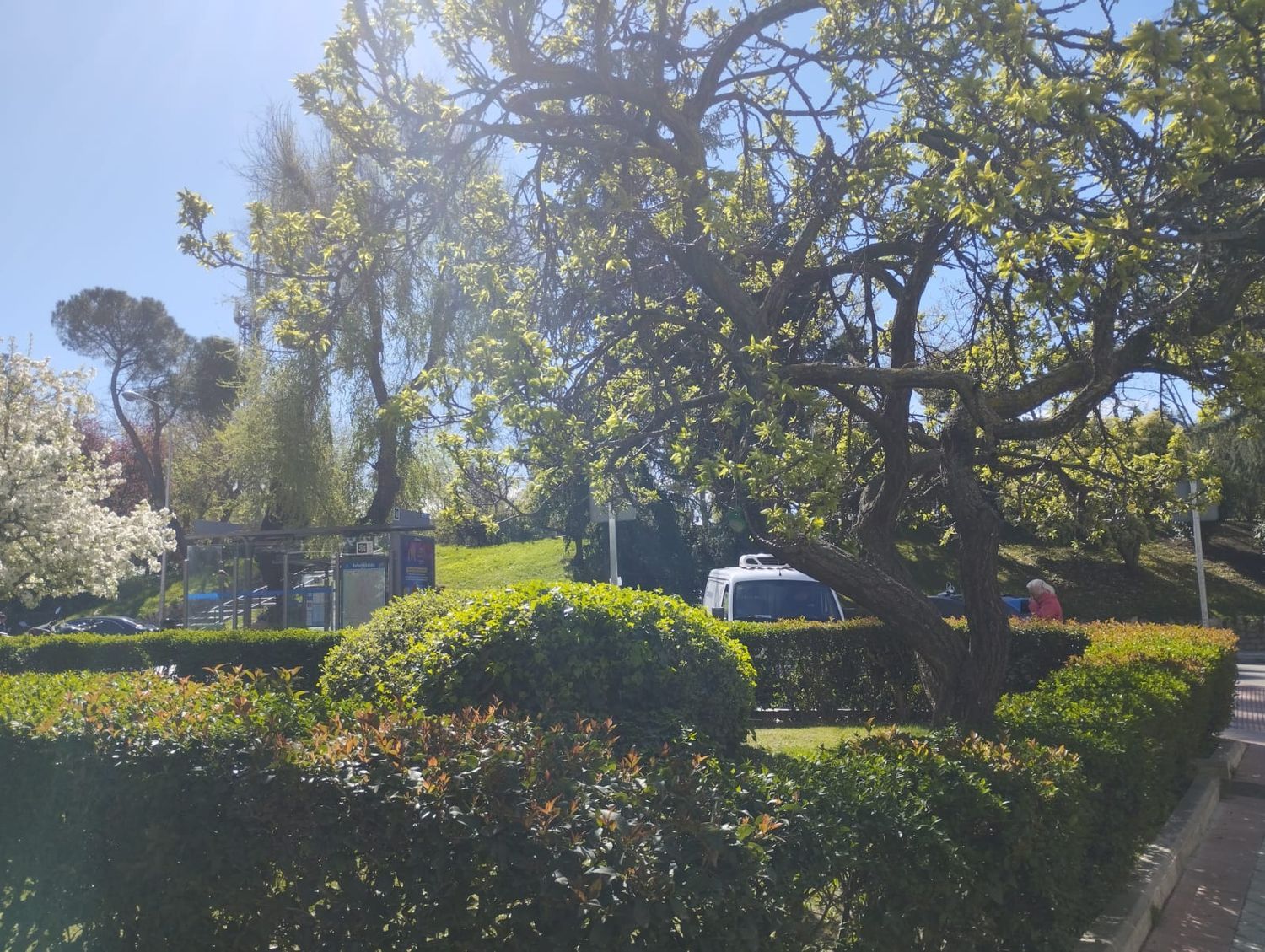 Piso en calle de Aguilar de Campóo, 21 - Foto 3