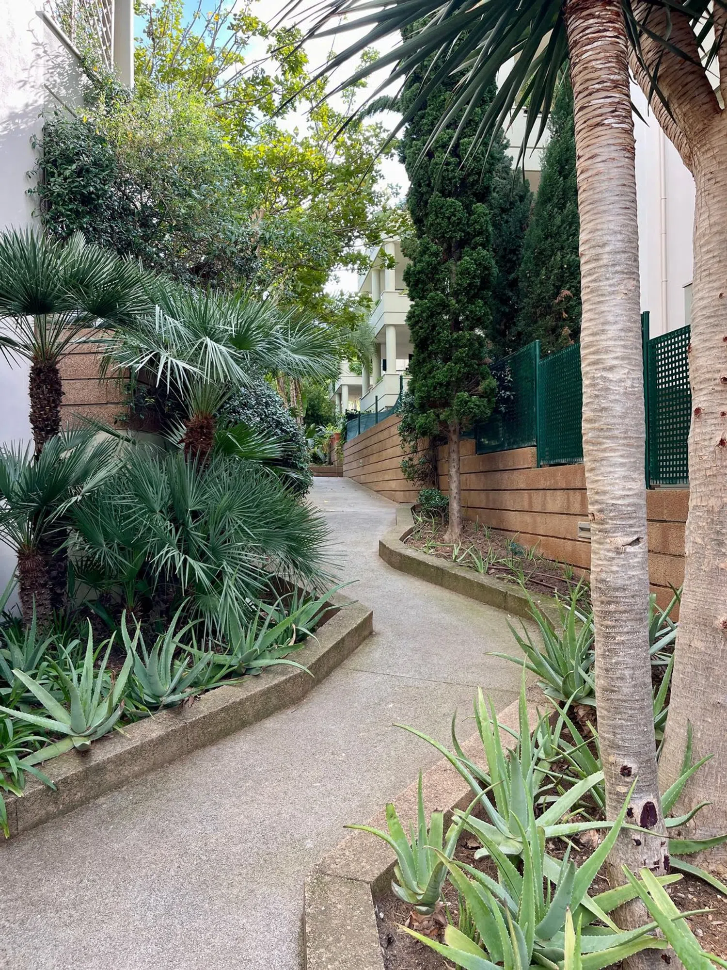 Ático en calle d'Adolf Vázquez Humasqué, 9 - Foto 22