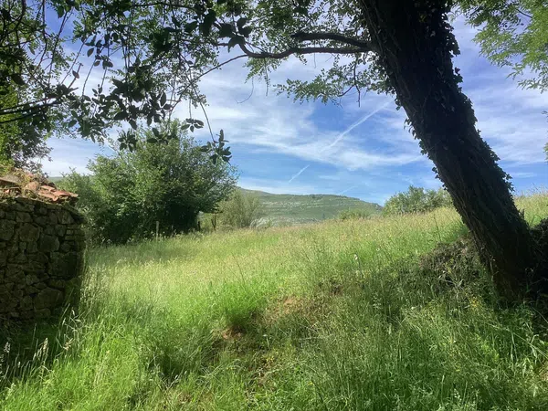 Casa rural en Avenida Alisas, 3 Km - Foto 29
