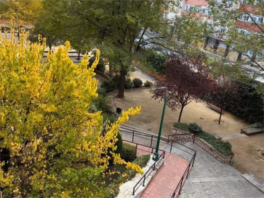 Piso en  Calle Calcografía 1 - Foto 28