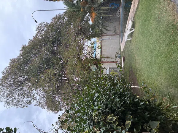 Chalet pareado en Barrio El Plantío - Foto 12