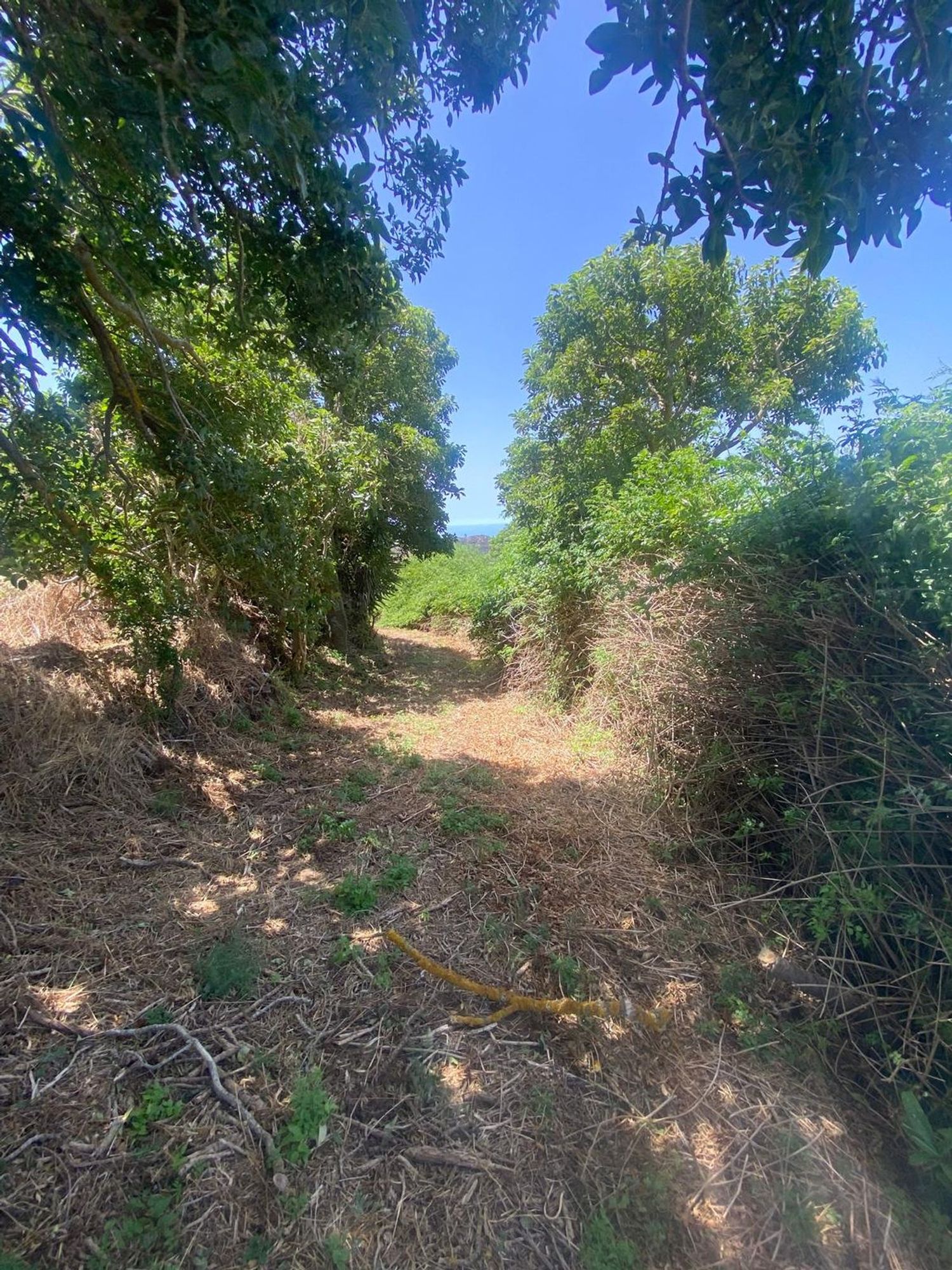 Finca rústica en Calle Mocolon, 59 Poligonoparcela - Foto 5