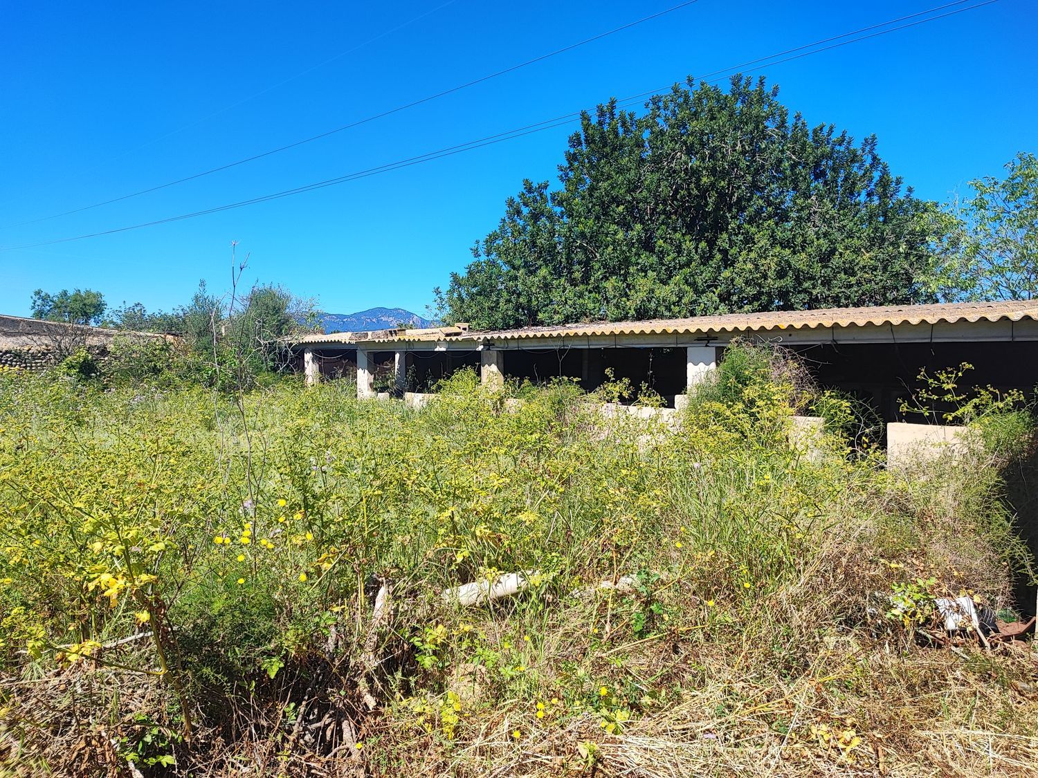 Finca rústica en Camino dels Reis, 477 - Foto 7