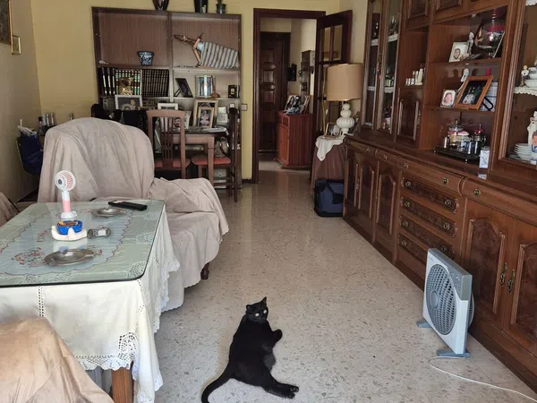 Piso en Concha Caballero Cubillo, 12, Villegas - Los Príncipes - Foto 8