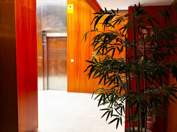 Piso en calle Granja de Rocamora, 4 - Foto 2