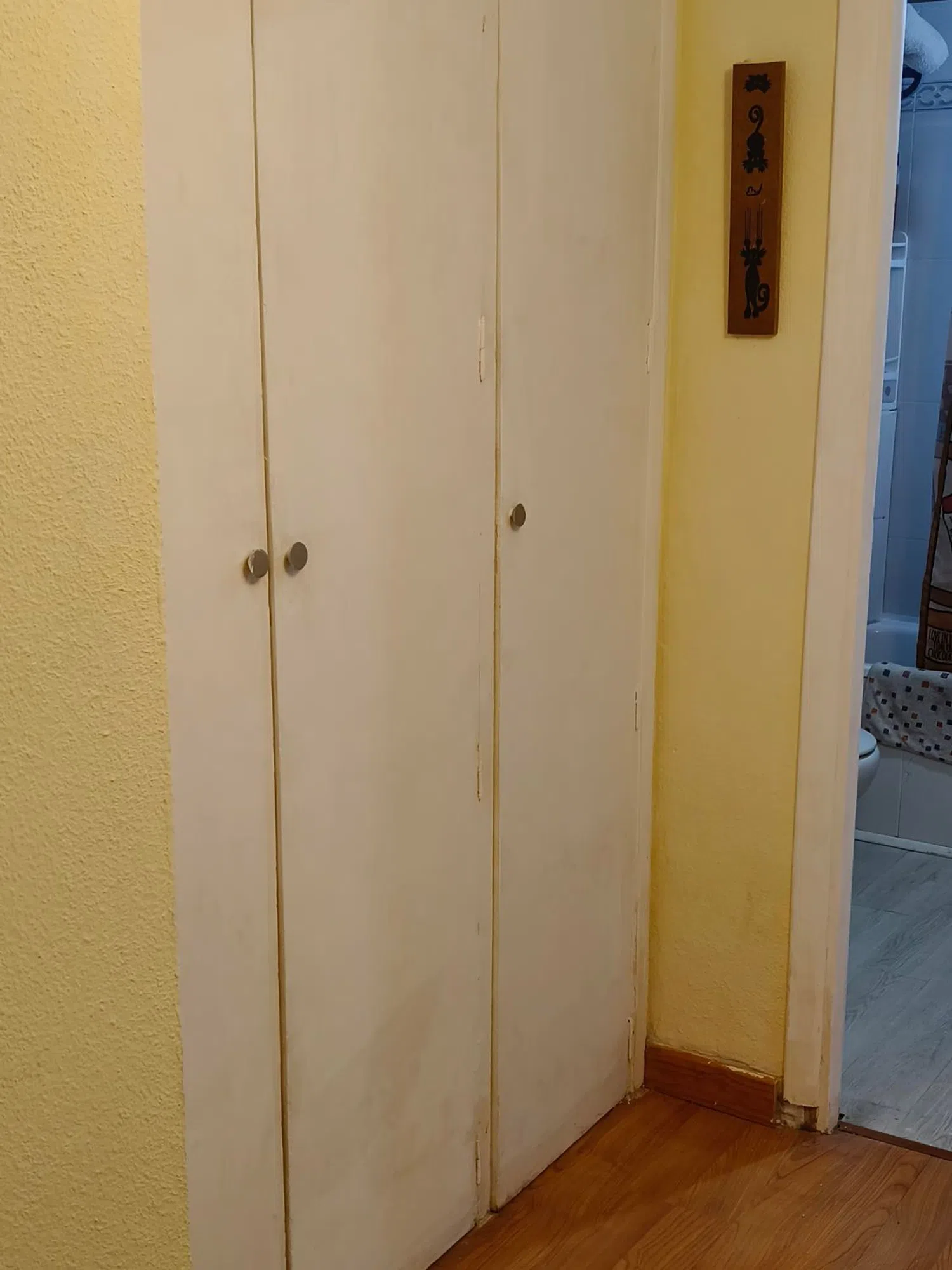 Piso en Juan Andrés, 48 - Foto 14