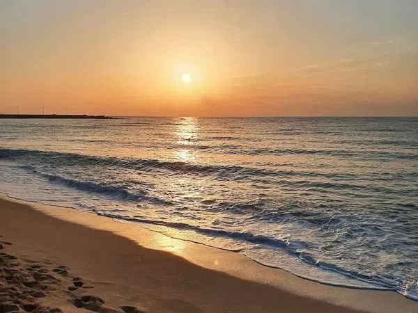 Piso en calle del Perelló, 76 - Foto 7