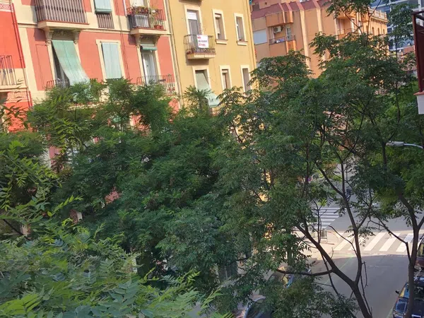 Ático en Mata, 19, El Poble Sec - Parc de Montjuïc - Foto 12