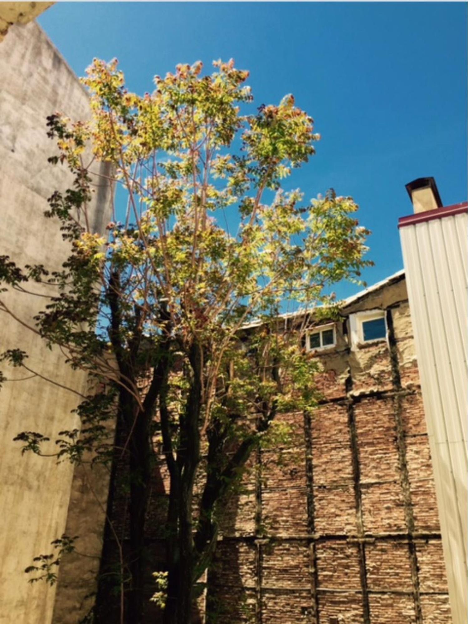 Dúplex en calle de Toledo, 40 - Foto 33