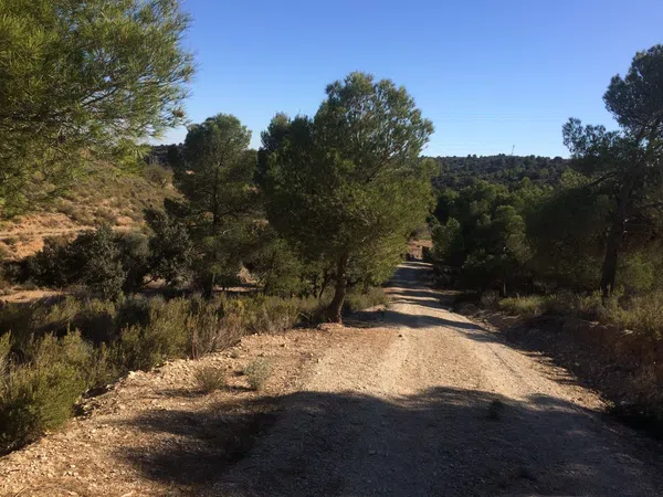 Casa o chalet independiente en A-91, 94, Zarcilla de Ramos-Doña Inés, Zarcilla de Ramos-Doña Inés - Foto 18