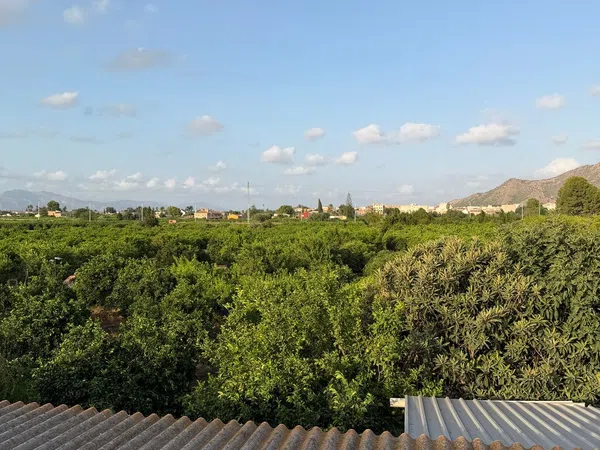 Finca rústica en Camino de los Plazas, 16, San José de la Vega - Foto 20