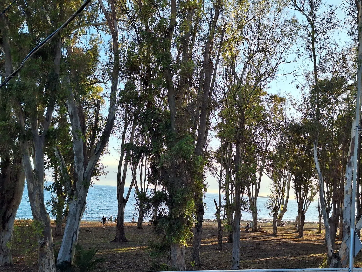 Piso en calle Bolivia, 40 - Foto 1