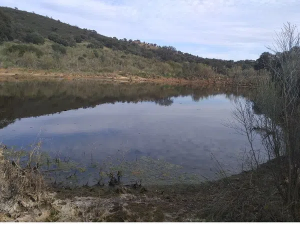 Finca rústica en Sierra de Mampar s/n - Foto 15