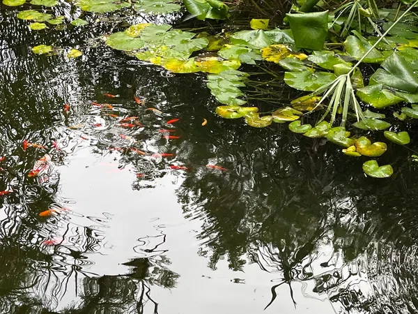 Casa independiente en Diseminado P068, 256 - Foto 7