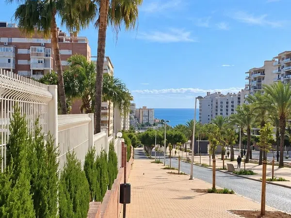 Estudio en Calle Llebeig, 4, Alitana - Casablanca - Foto 4