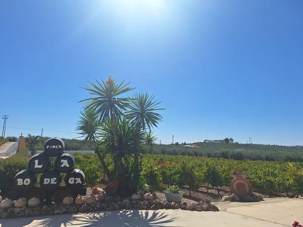 Finca rústica en Carretera Nueva Carteya, 25 - Foto 4