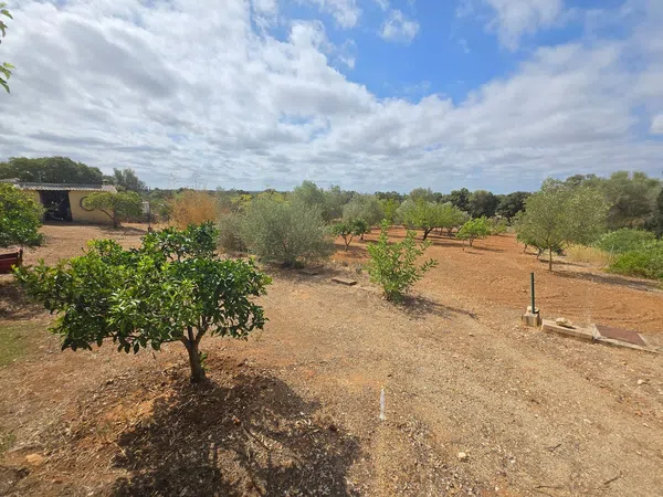 Finca rústica en Poligono 7, 70, Zona periurbana, Zona periurbana - Foto 17