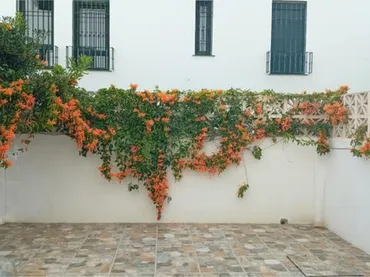 Chalet en Avenida de América - Foto 5