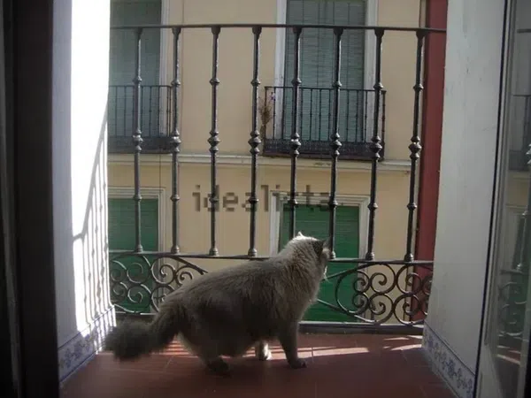 Estudio en calle de las Minas, 26