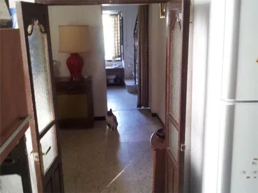Piso en  A-7300 10 - Foto 12