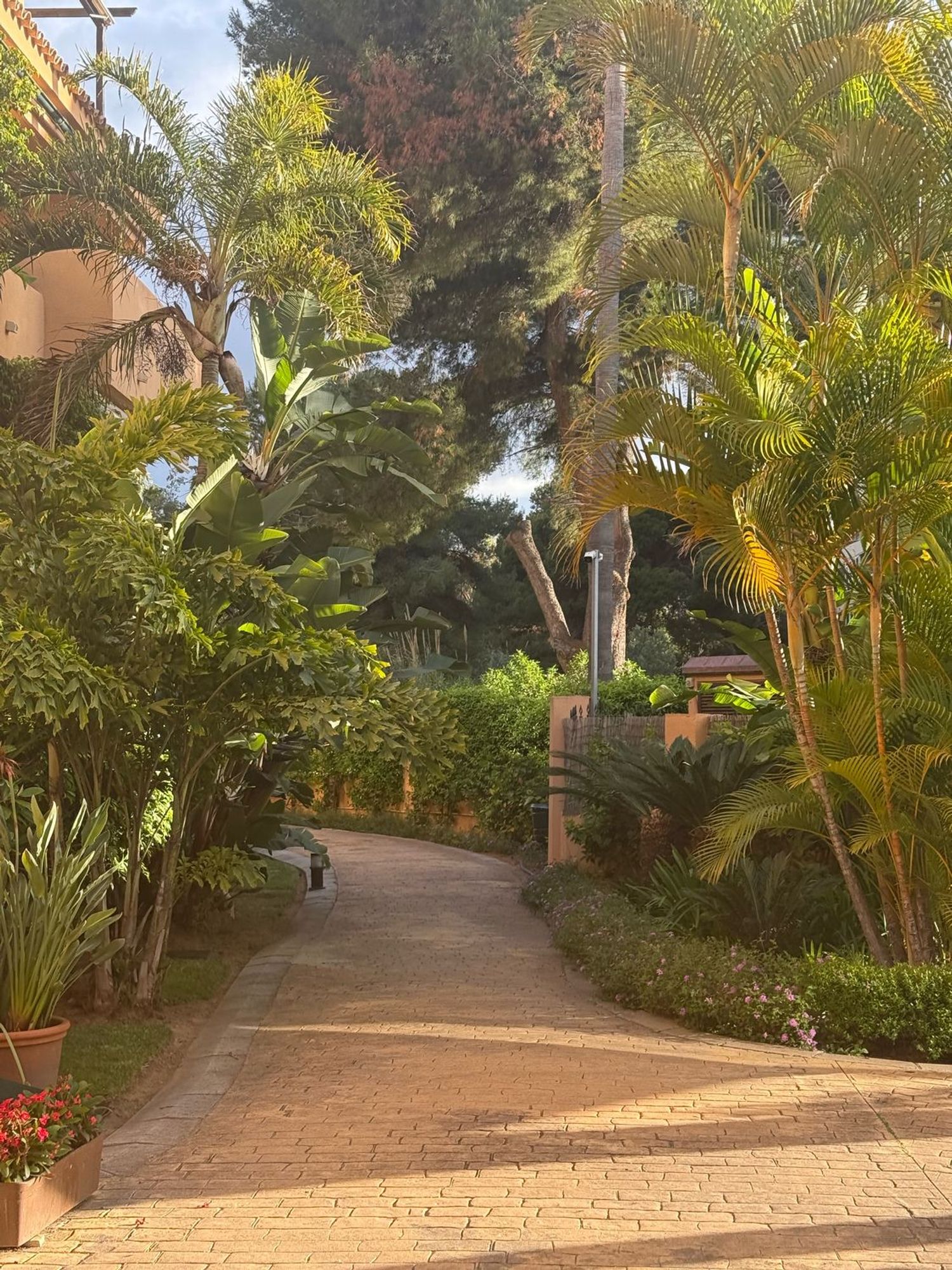 Piso en avenida Jacaranda, 32 - Foto 2