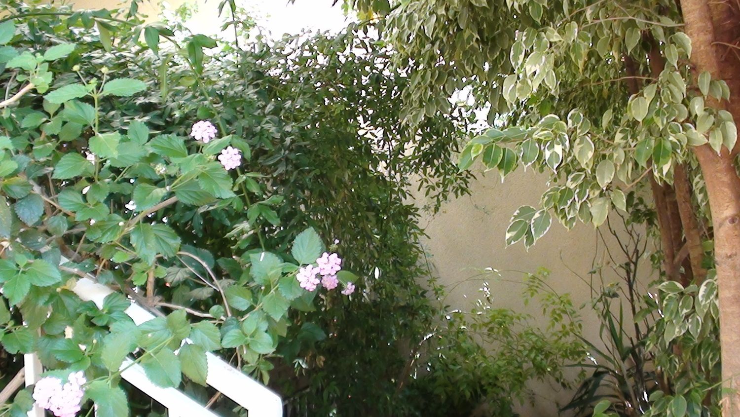 Dúplex en calle Iris, 4 - Foto 3