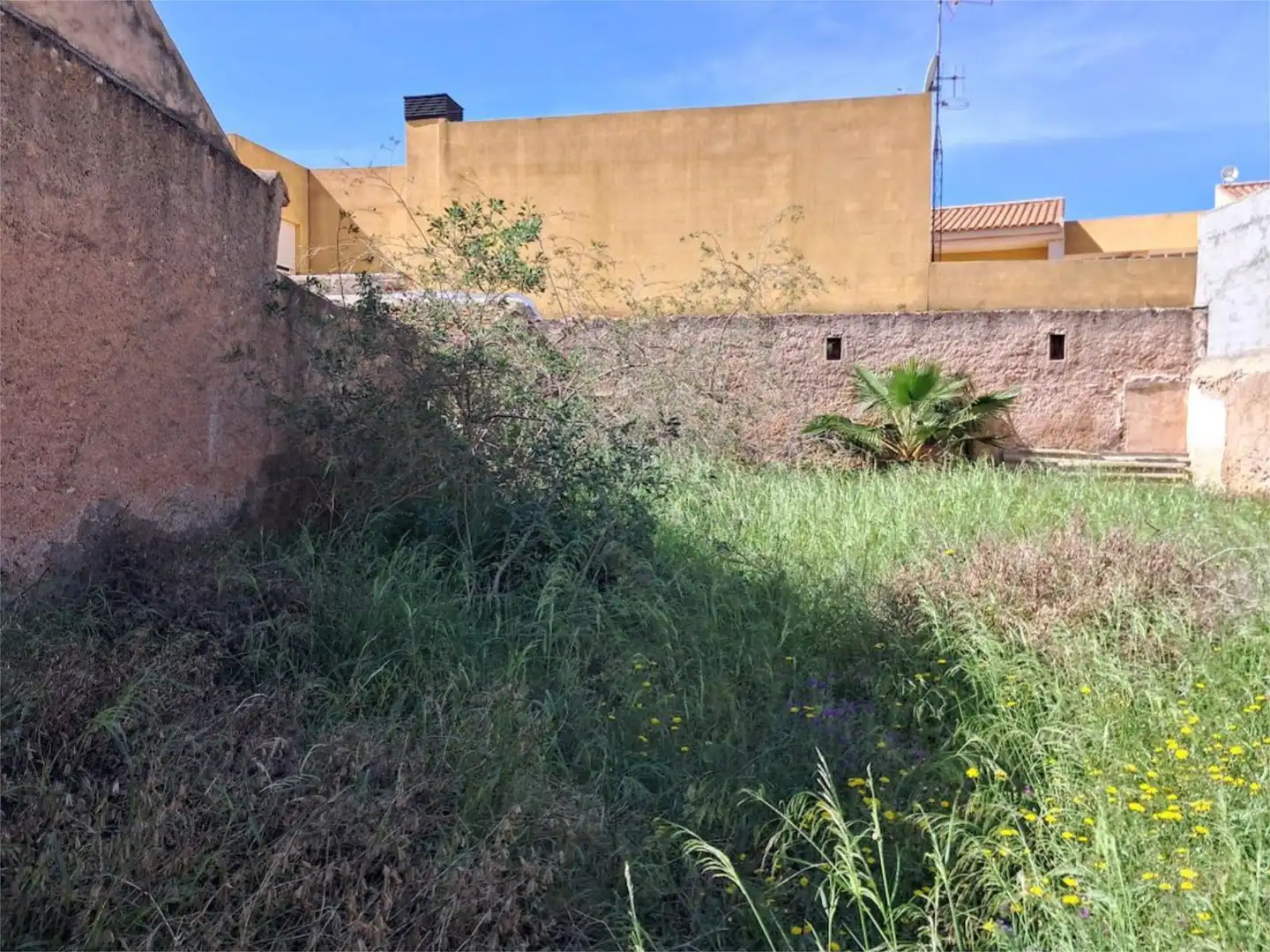 Terreno Residencial en  Calle Antonio Pascual 25 - Foto 3
