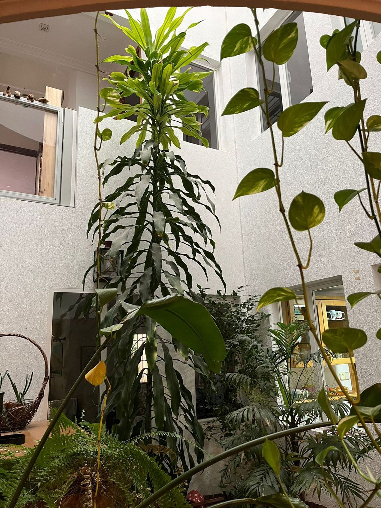 Chalet adosado en calle de la Peña Pintada, 47 a - Foto 2