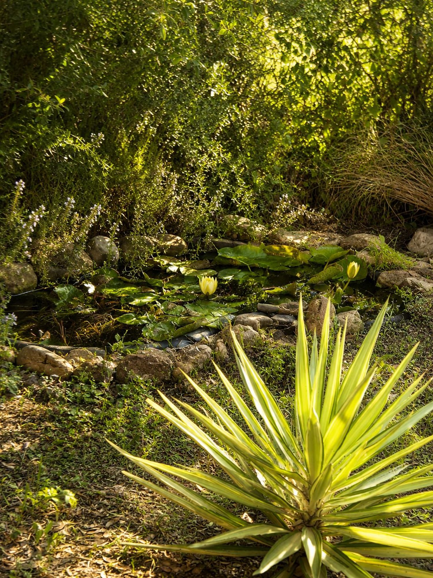 Casa o chalet independiente en Urbanización Doña Pilar, 56, Mijas Pueblo, Mijas Pueblo - Foto 33