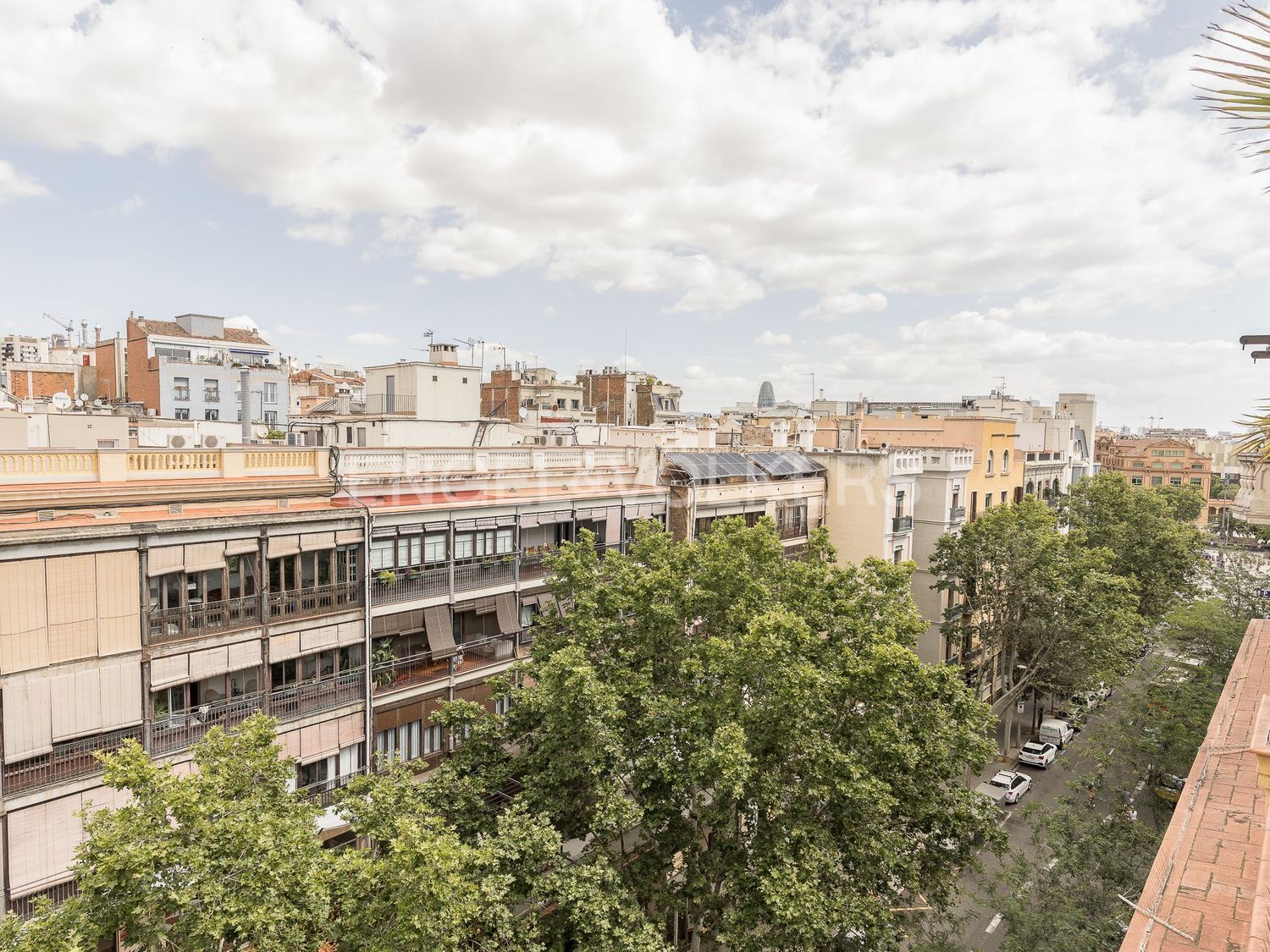 Ático en Sant Pere - Santa Caterina i la Ribera - Foto 46