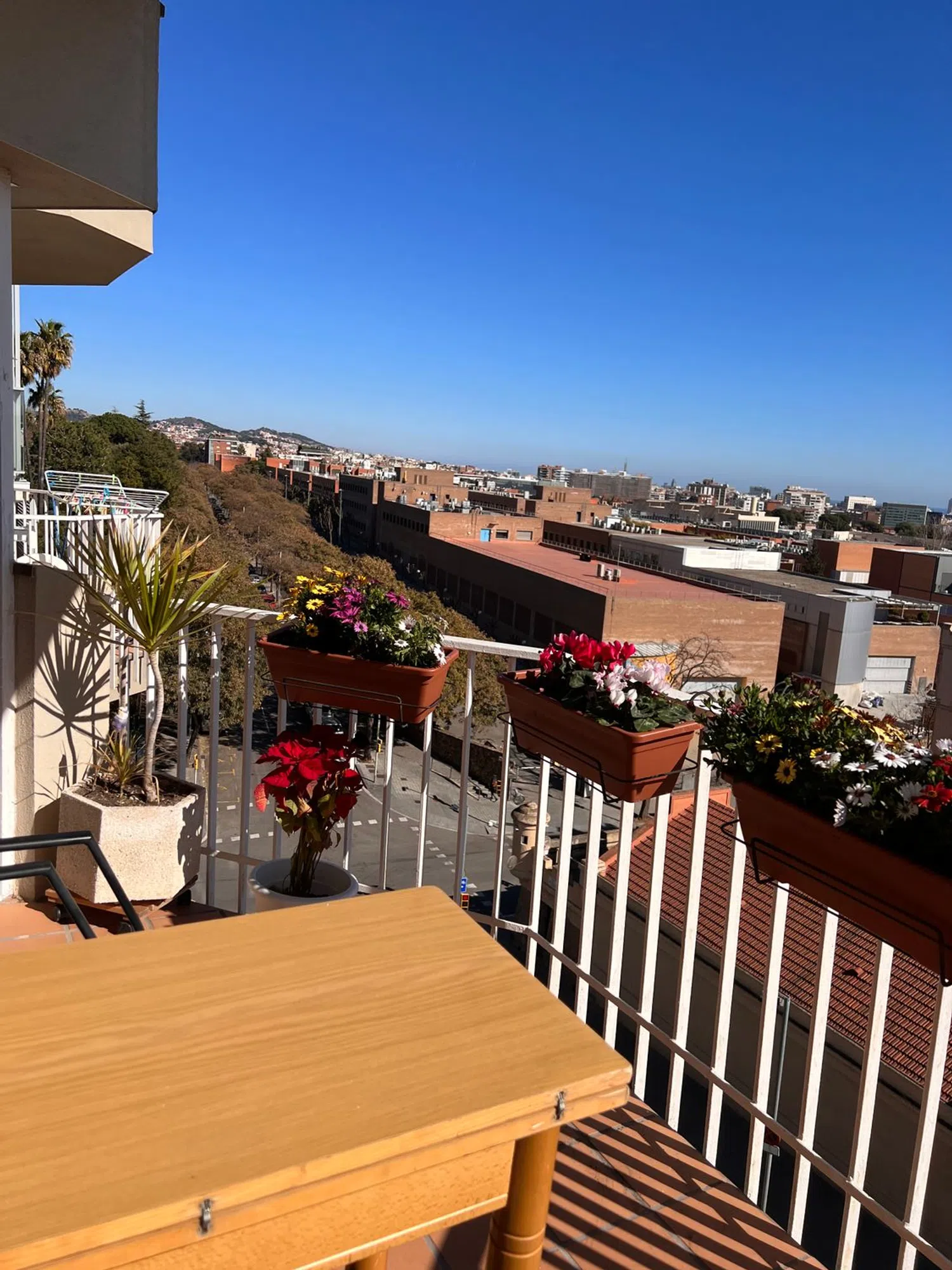 Estudio en calle de Sor Eulàlia d'Anzizu, 11 - Foto 21