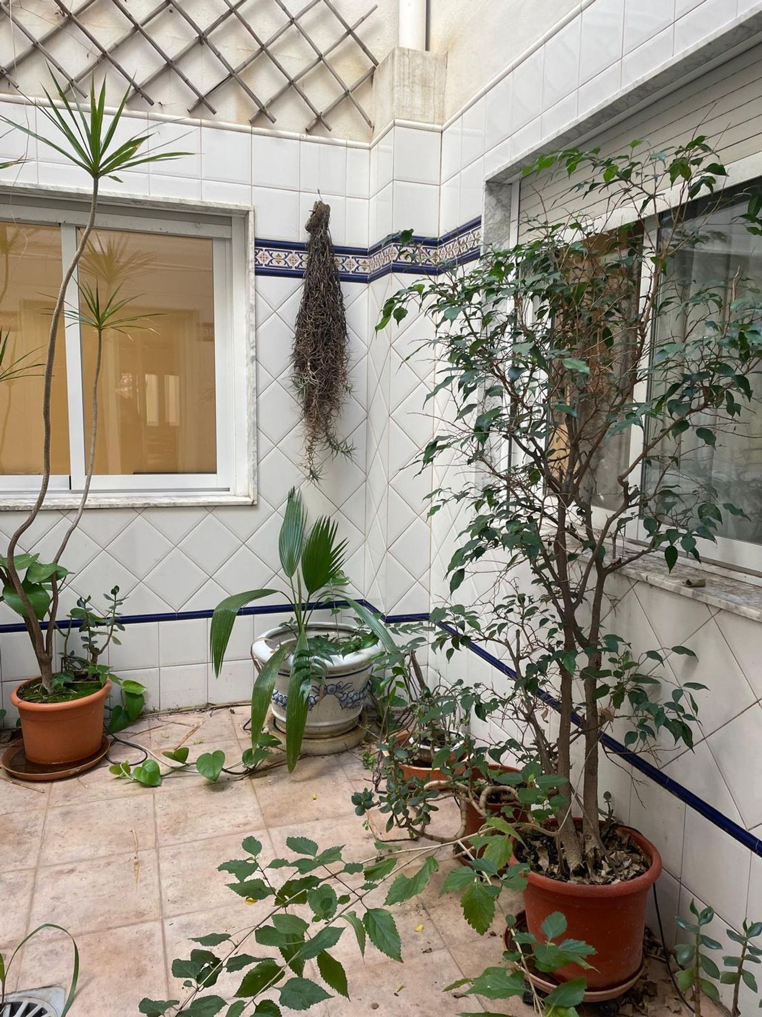 Piso en Barrio Centro - Foto 19