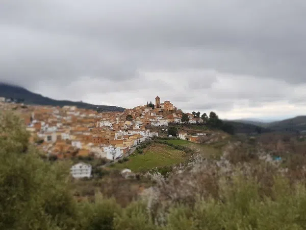 Cortijo en Cortijo en Calle Antonio Machado s/n - Foto 2