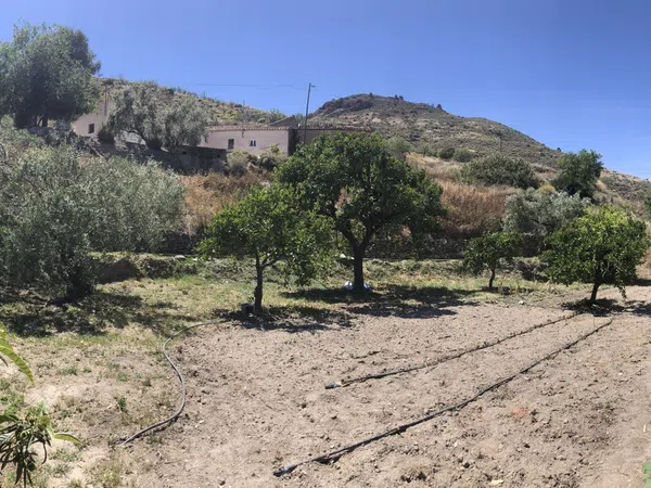 Casa rural en Barriada Los Adrianes, 1 - Foto 6