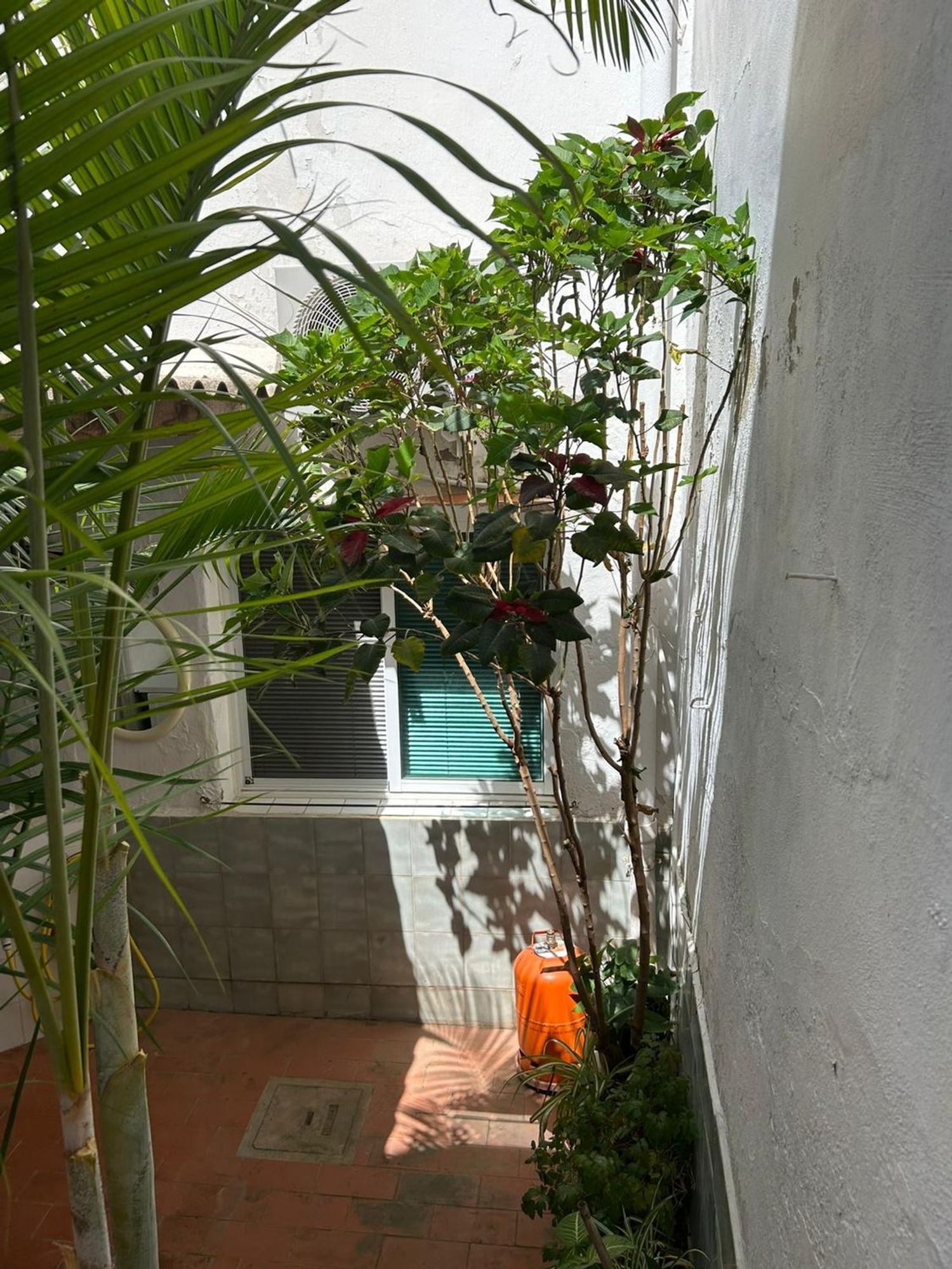 Casa o chalet independiente en El Verger - Foto 16