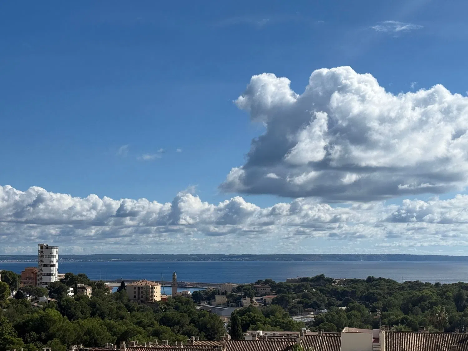 Ático en calle d'Antoni Mus, 7 - Foto 14