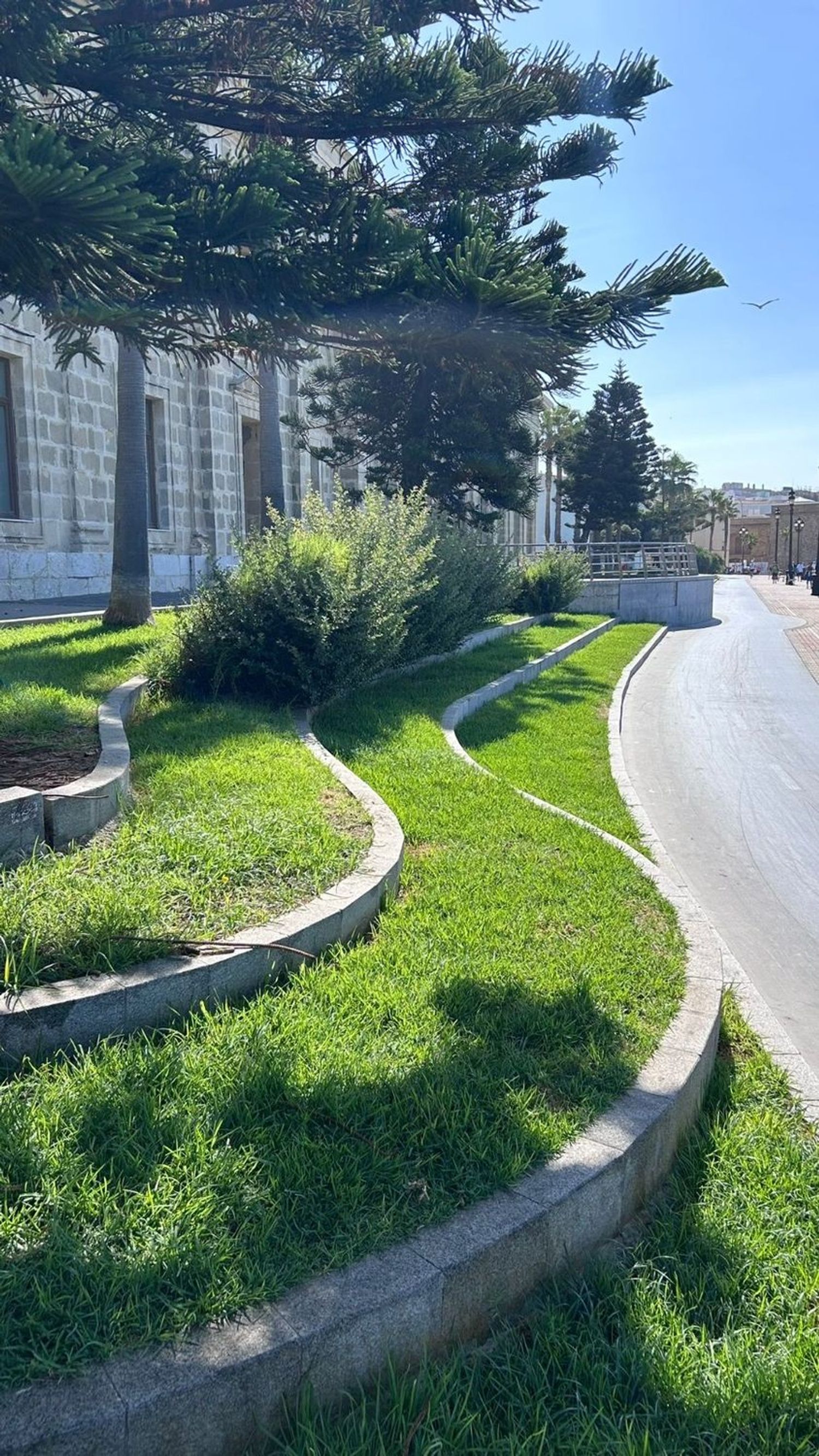 Piso en Público, 4 - Foto 7
