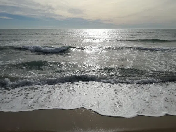 Piso en paseo de Vilanova, 38 - Foto 1