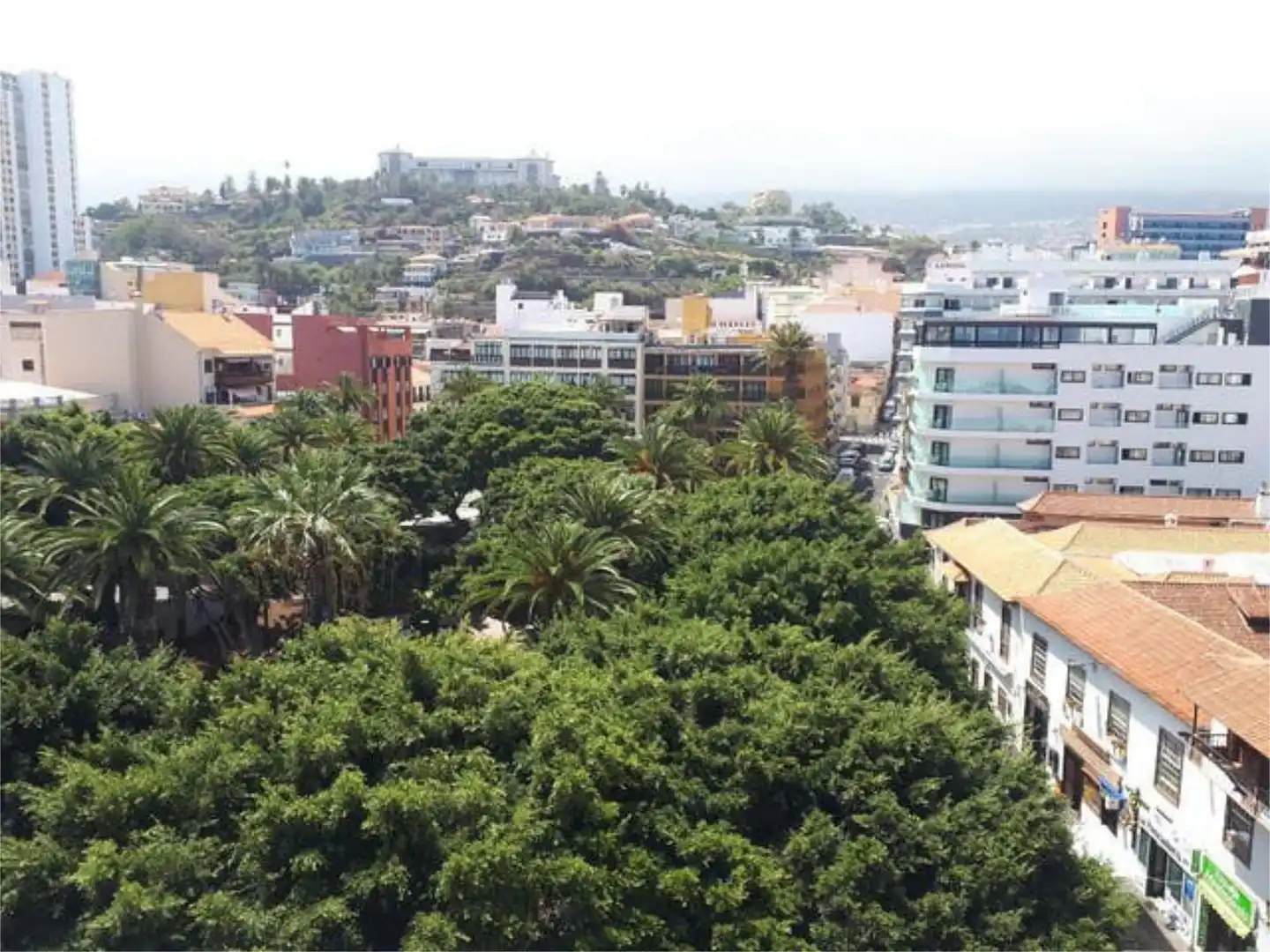 Estudio en Puerto de la Cruz - Foto 9