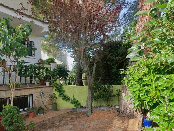 Chalet adosado en Plaza República Argentina, 50 - Foto 3