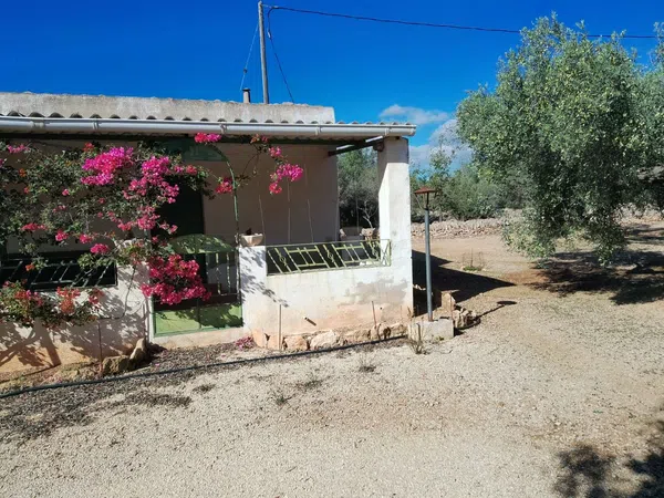 Casa o chalet independiente en Camino de Mossèn Vicent, 29 - Foto 1