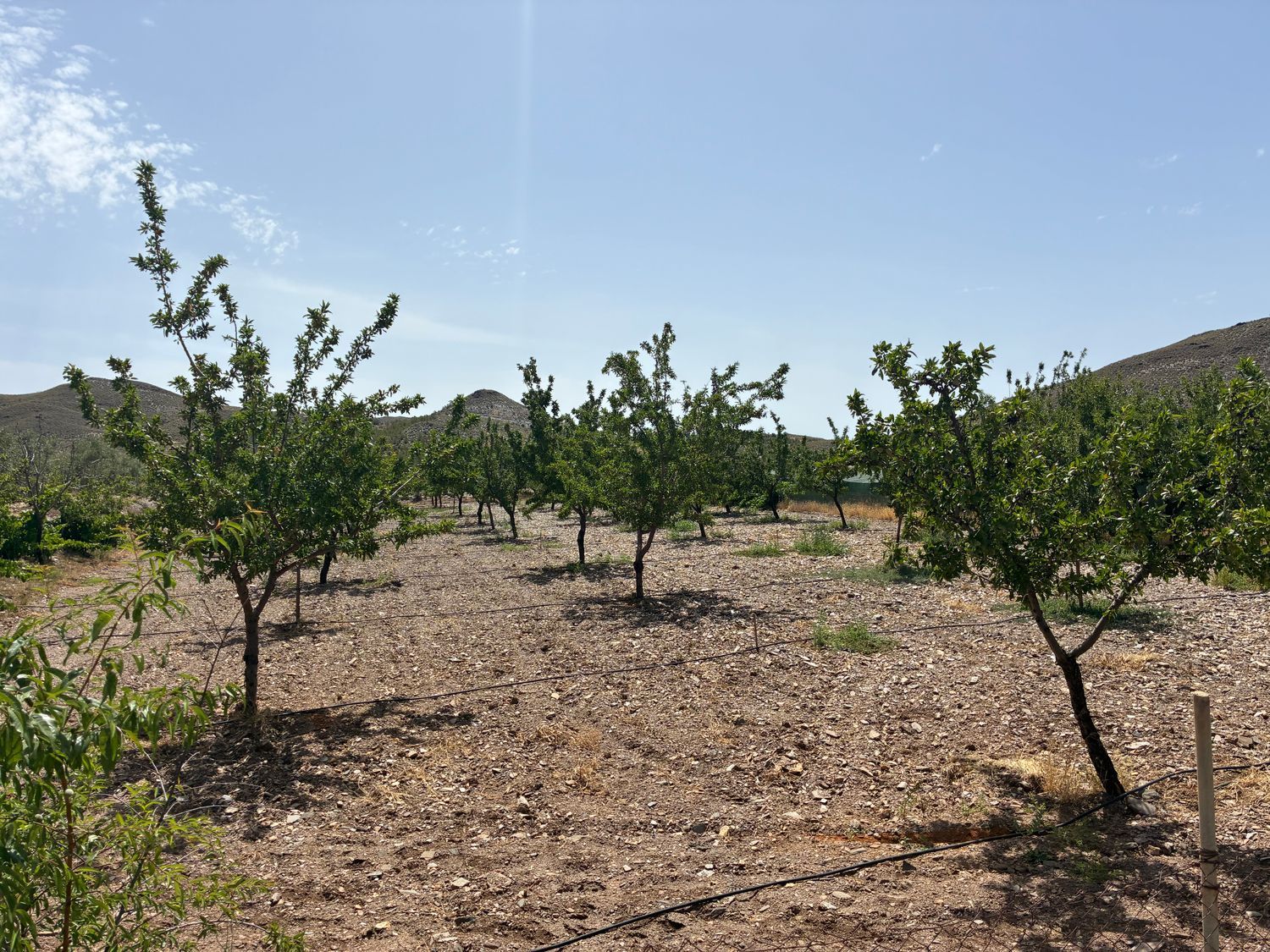 Cortijo en Cortijo en A-1178 s/n - Foto 7
