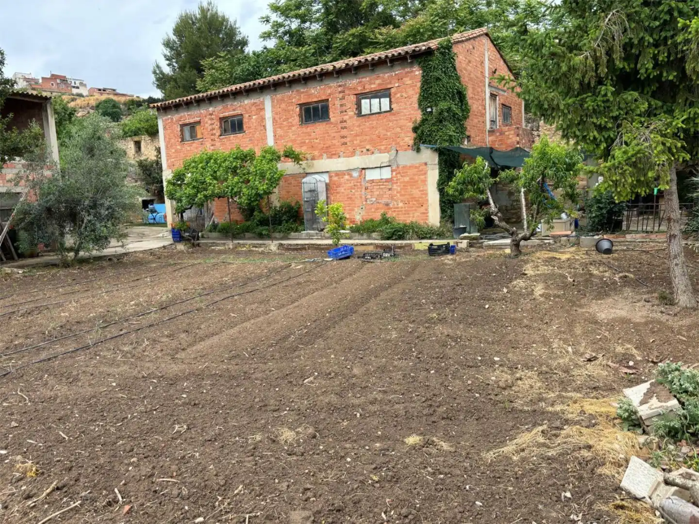 Finca rústica en  Calle Palomar 2 - Foto 38