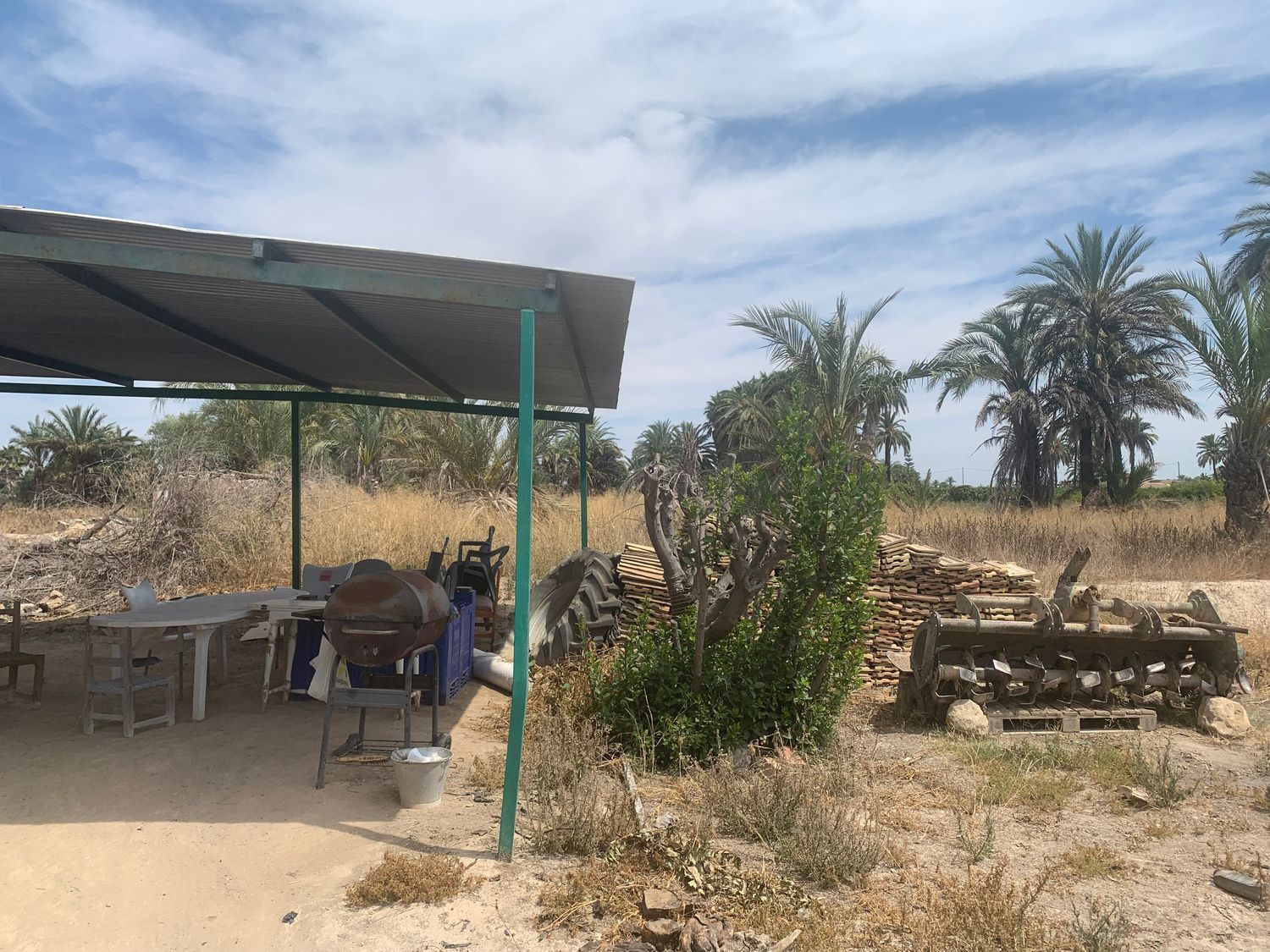 Finca rústica en Carretera de Elche a Casas del León, 30, Algoda-Matola-Llano de San José, Algoda-Matola-Llano de San José - Foto 6
