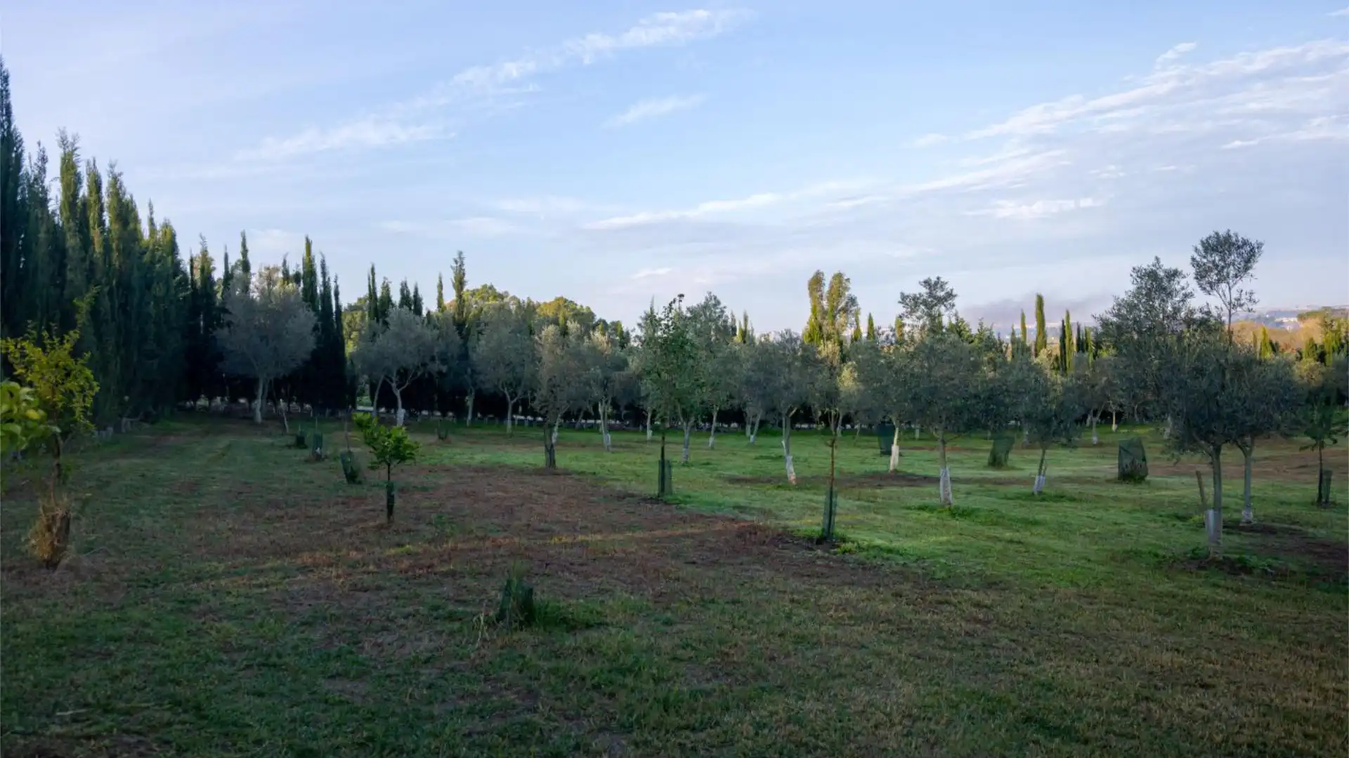 Finca rústica en  Calle Almenara 1 - Foto 6