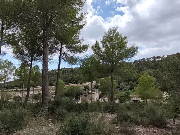 Casa o chalet independiente en Rafal aixat s/n - Foto 11