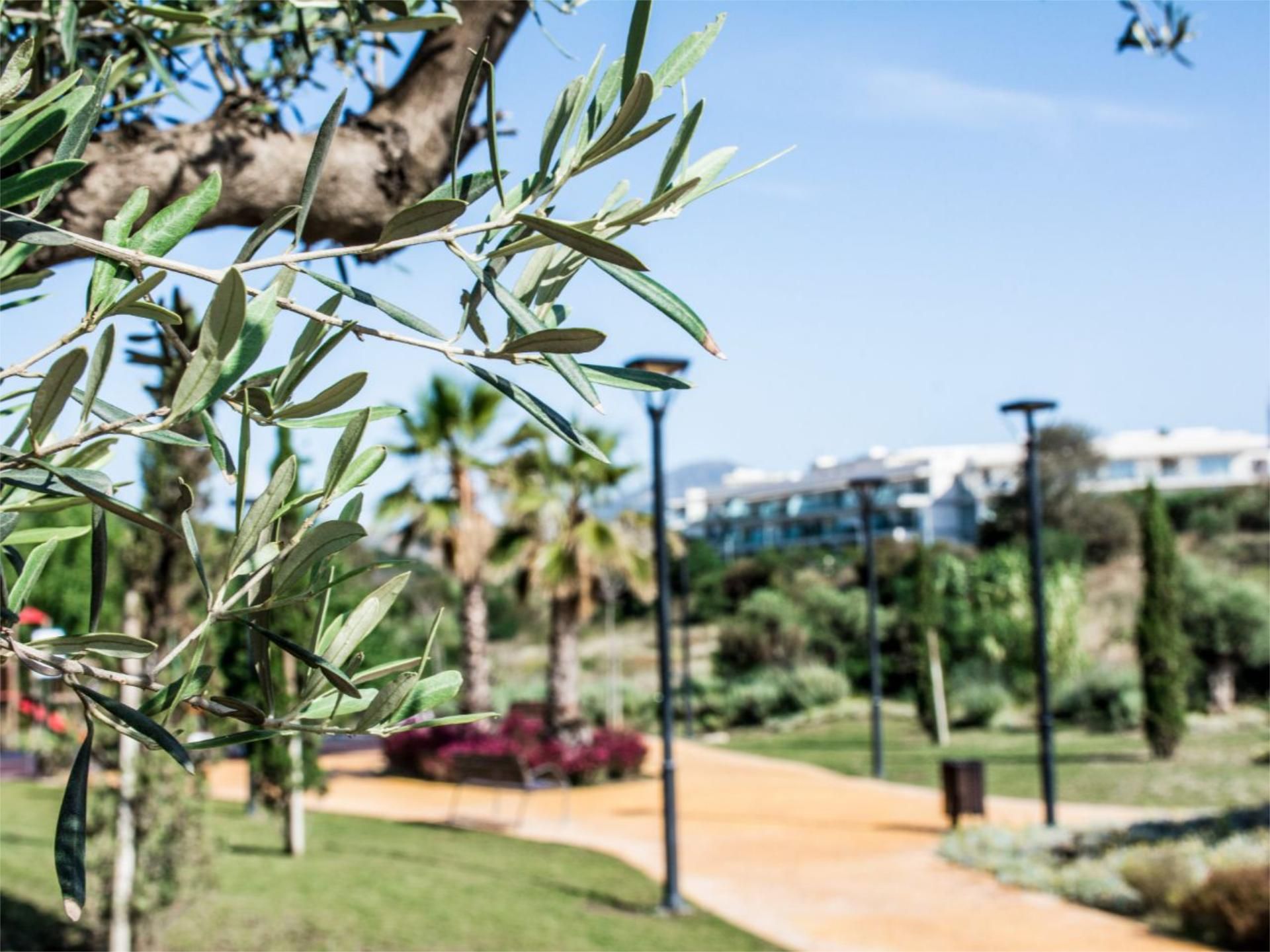 Piso en  Calle Copa Ryder 22 - Foto 14