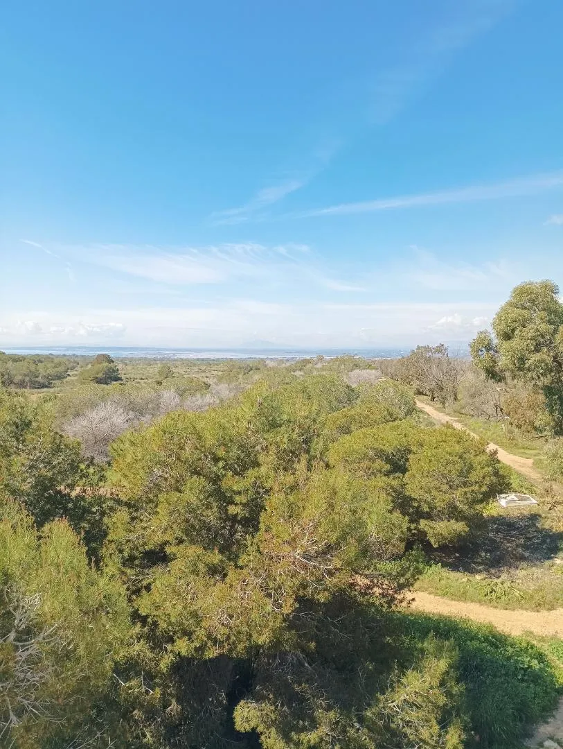 Casa adosada en  Calle Monte de Santa Pola 35 - Foto 18